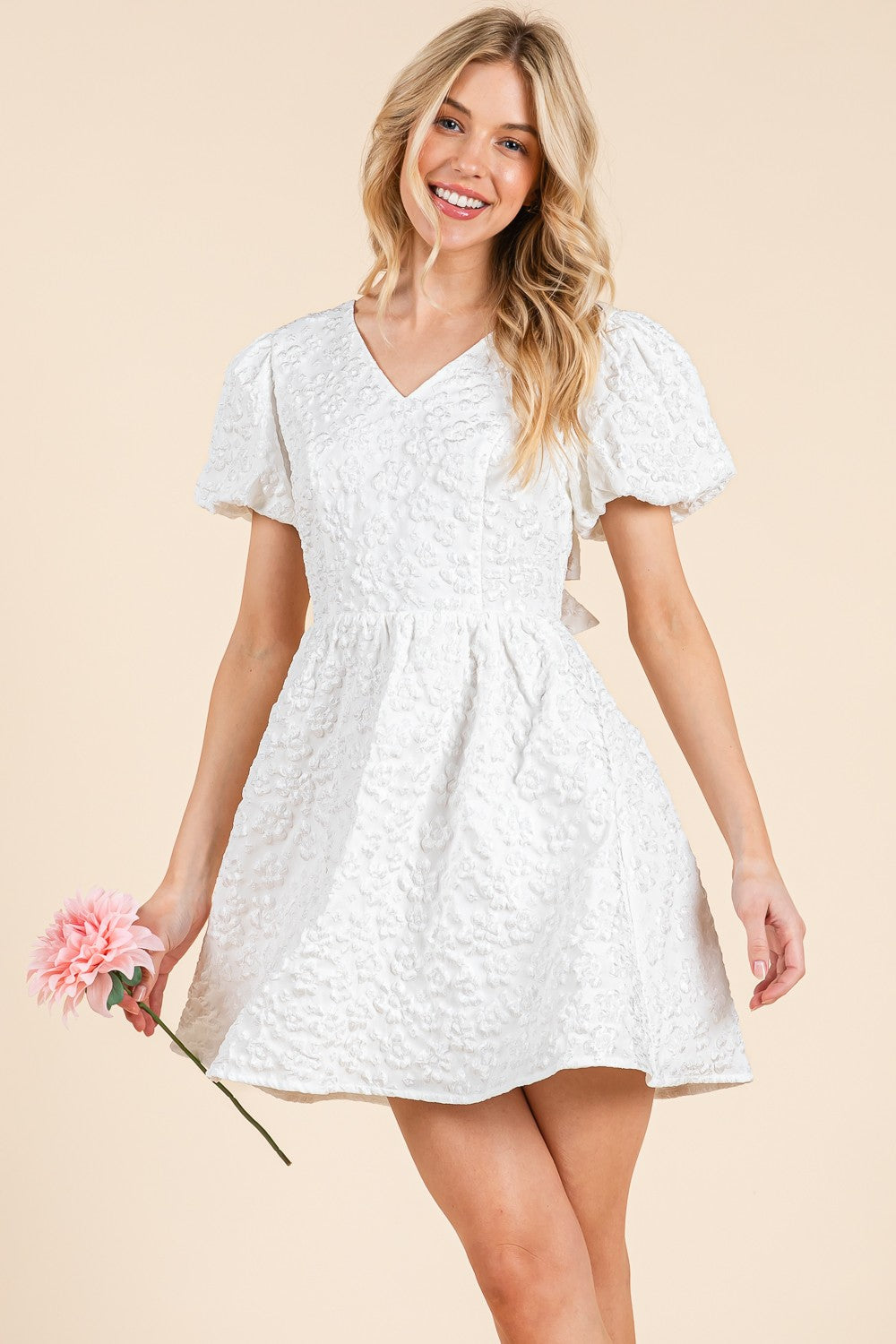 Bow Back Mini Dress (S-3X)