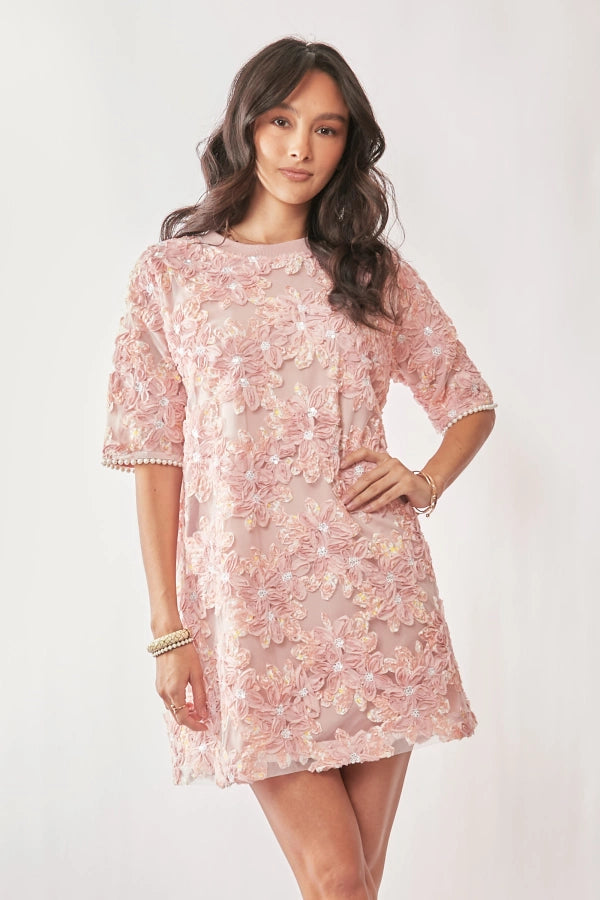 Embroidered Mini Dress (S-3X)