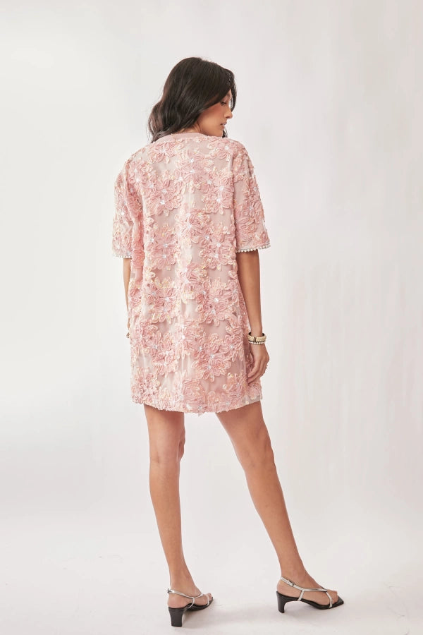 Embroidered Mini Dress (S-3X)