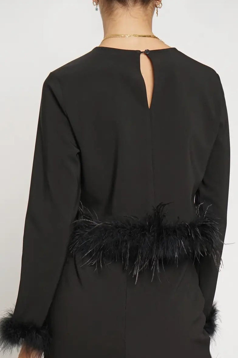 
Holiday top, going out top, date night top, feather trim black top, Winnipeg shopping, winnipeg dresses