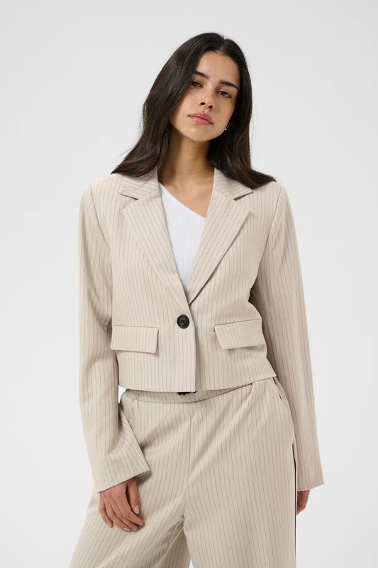 Pinstripe Cropped Blazer