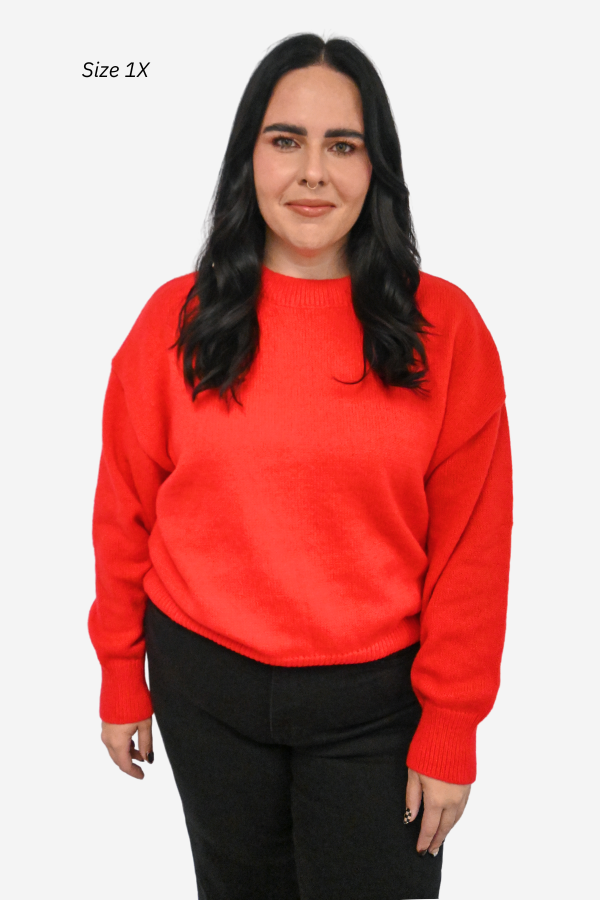 Holly Pullover Sweater (S-3X)