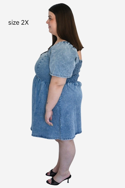 CURVE Denim Mini Dress