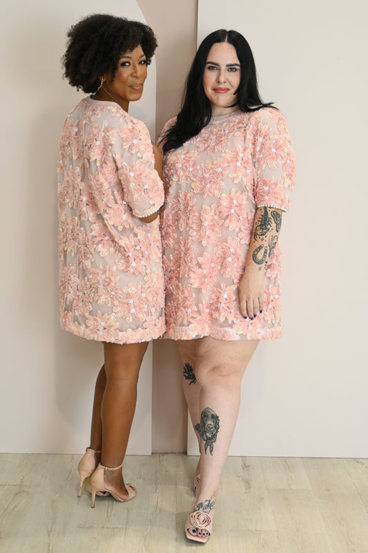 Embroidered Mini Dress (S-3X)