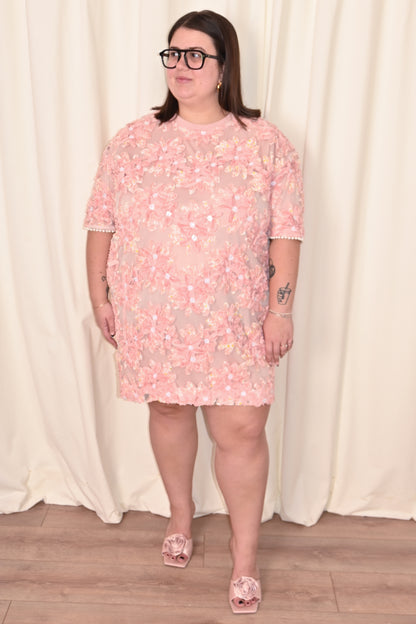 Embroidered Mini Dress (S-3X)