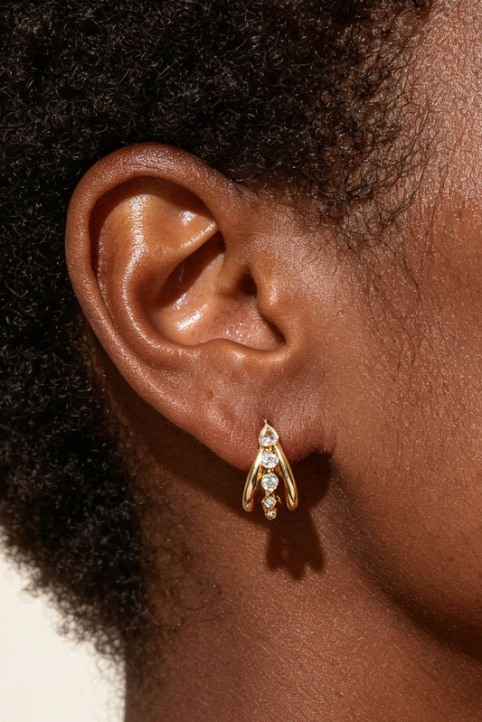 Double Row Pave Hoop