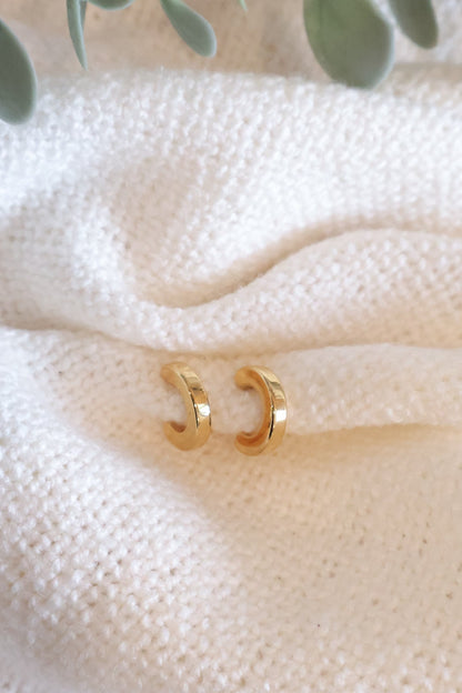 Small Hoop Earring