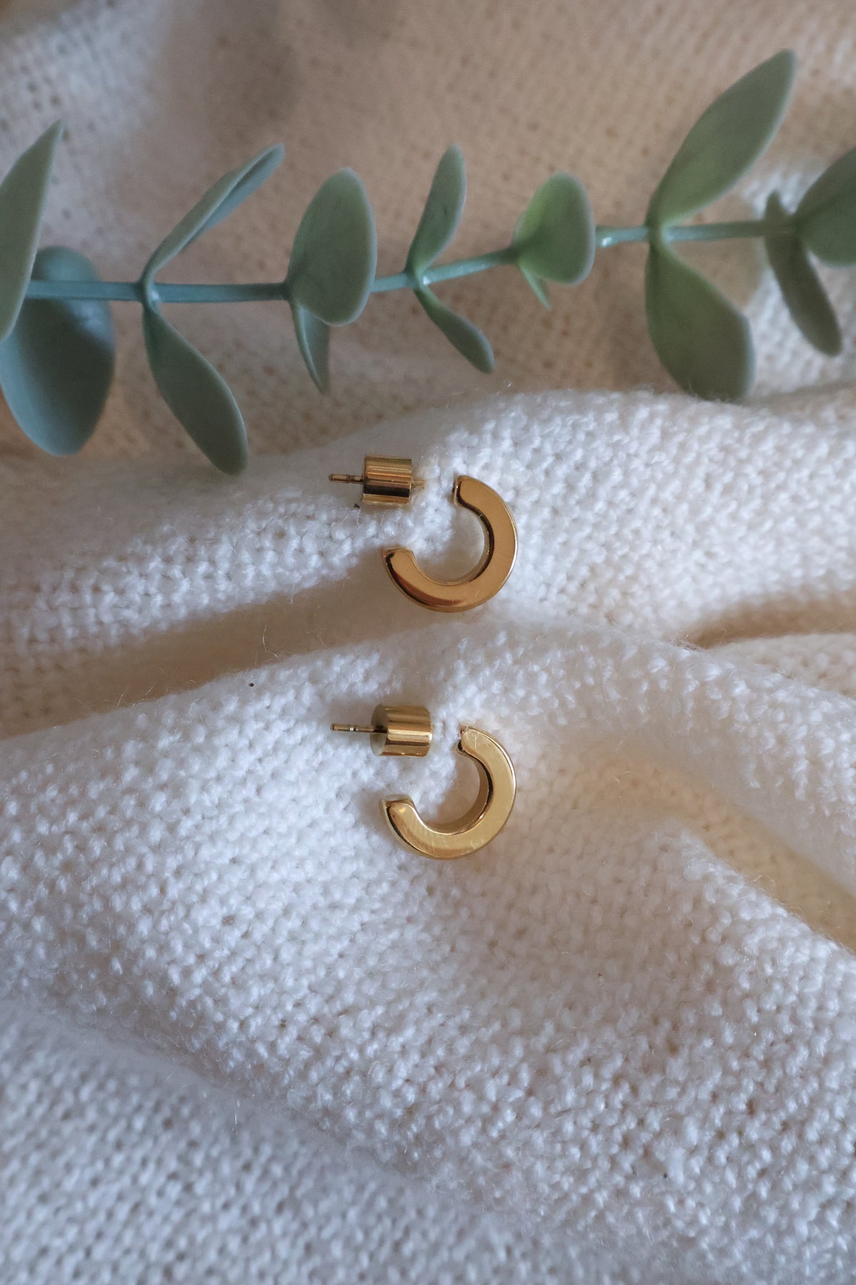 Small Hoop Earring
