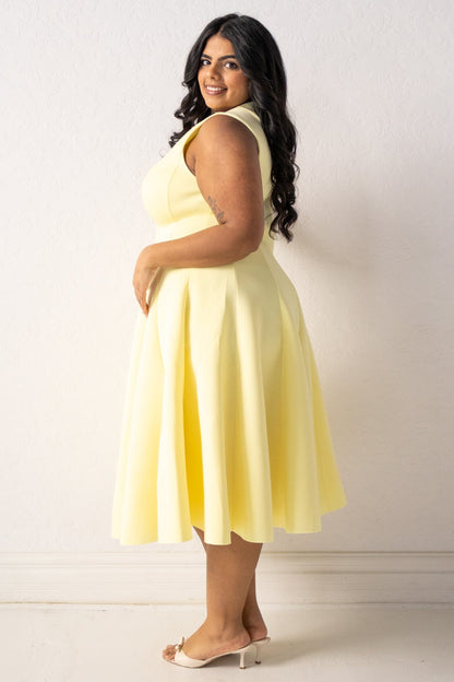 CURVE Sunshine Fit & Flare Dress