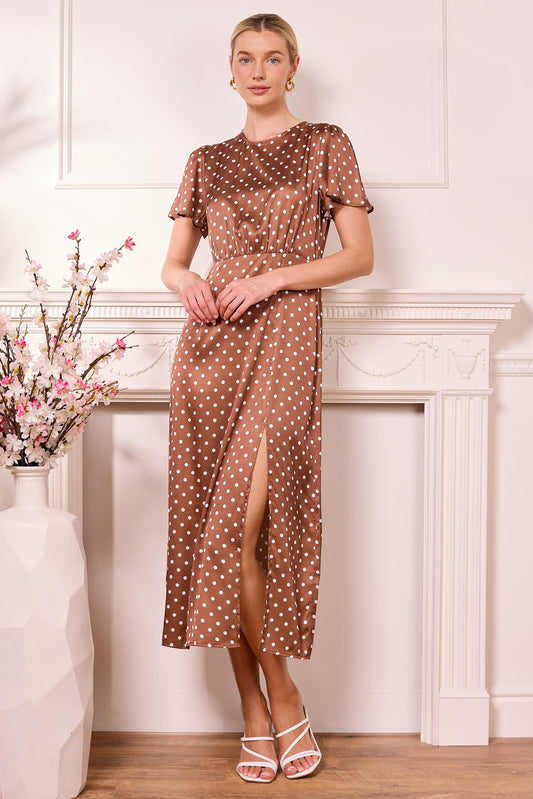 Janzur Polka Dot Dress