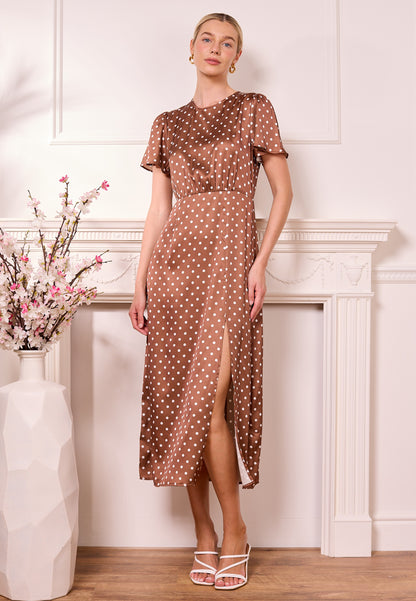 Janzur Polka Dot Dress