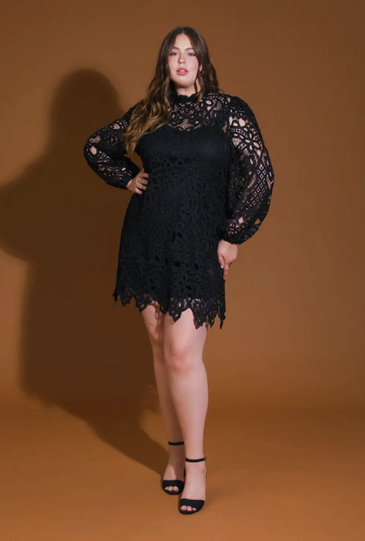 CURVE Lace Mini Dress