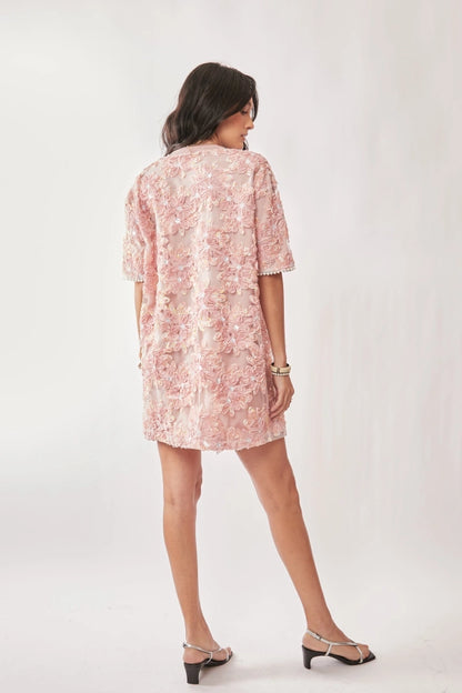 Embroidered Mini Dress (S-3X)