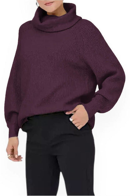 Loose Turtle Neck Sweater (3 Colors)