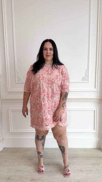 Embroidered Mini Dress (S-3X)