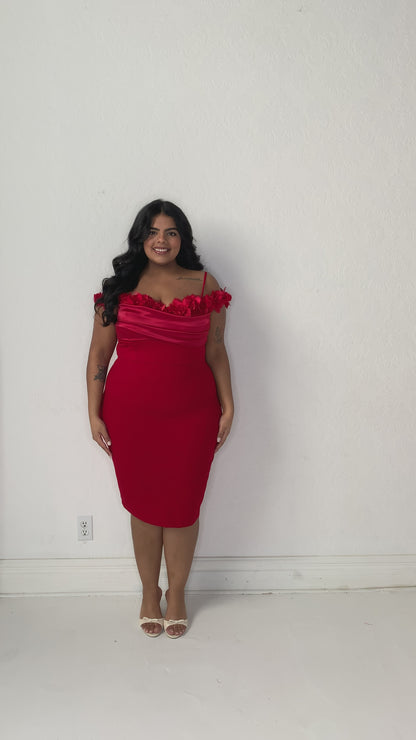 CURVE Rose Cocktail Dress