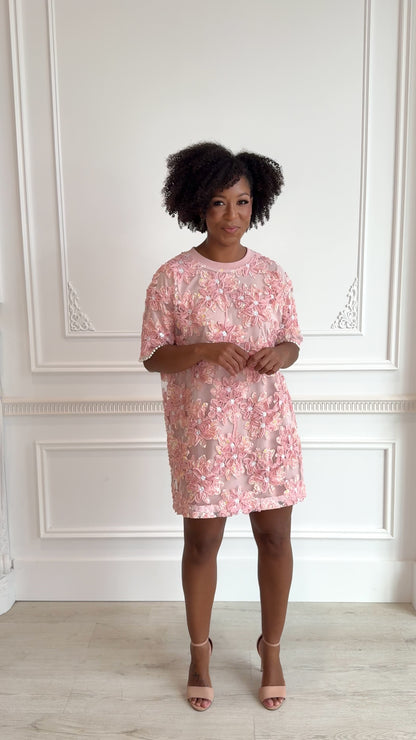 Embroidered Mini Dress (S-3X)